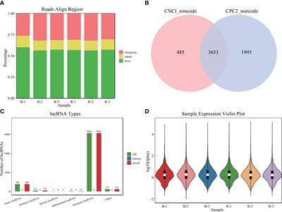 LncRNA–miRNA–mRNA ceRNA network of different body colors in Plectropomus leopardus